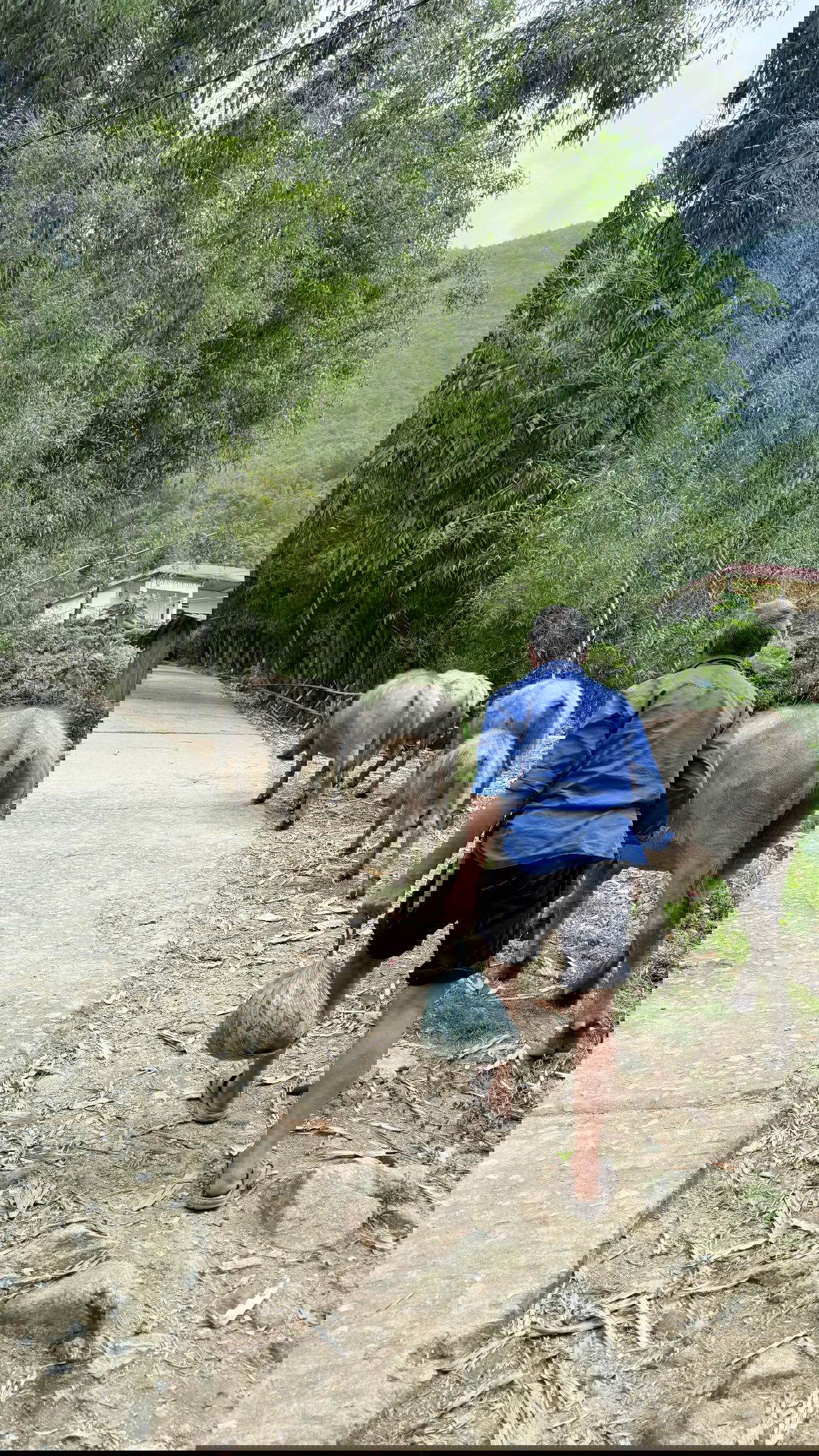 kesemgreenyer instagram image archive image