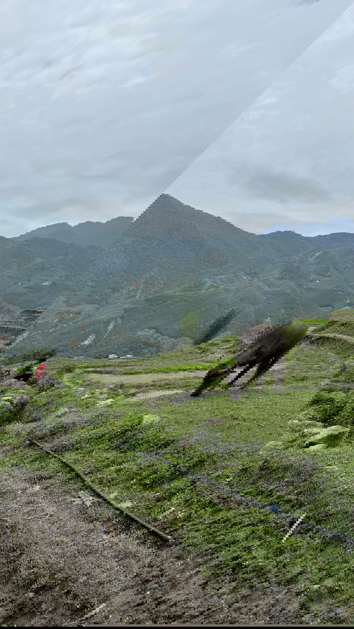 kesemgreenyer instagram image archive image