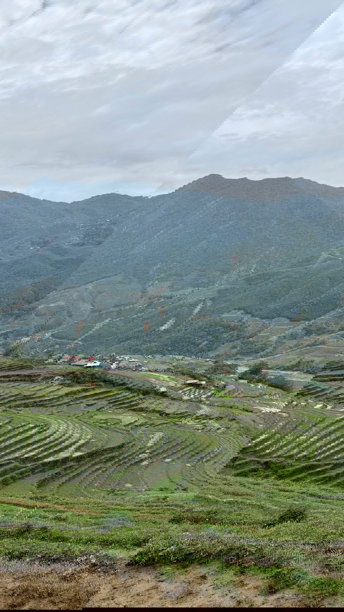 kesemgreenyer instagram image archive image