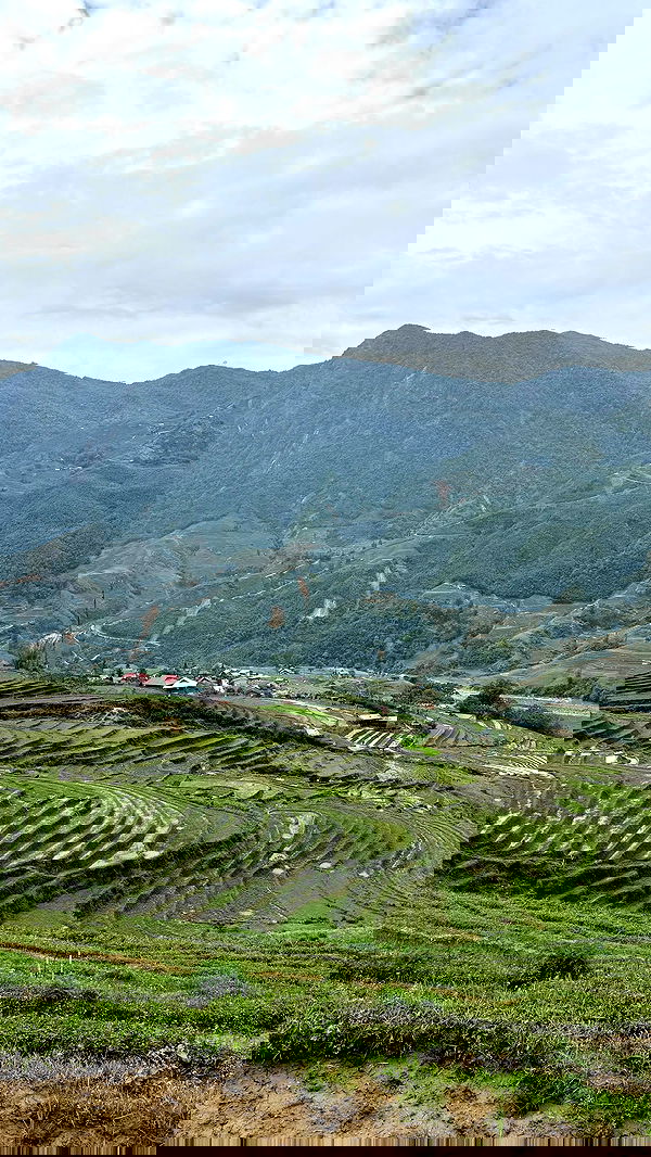 kesemgreenyer image ~ Altpins