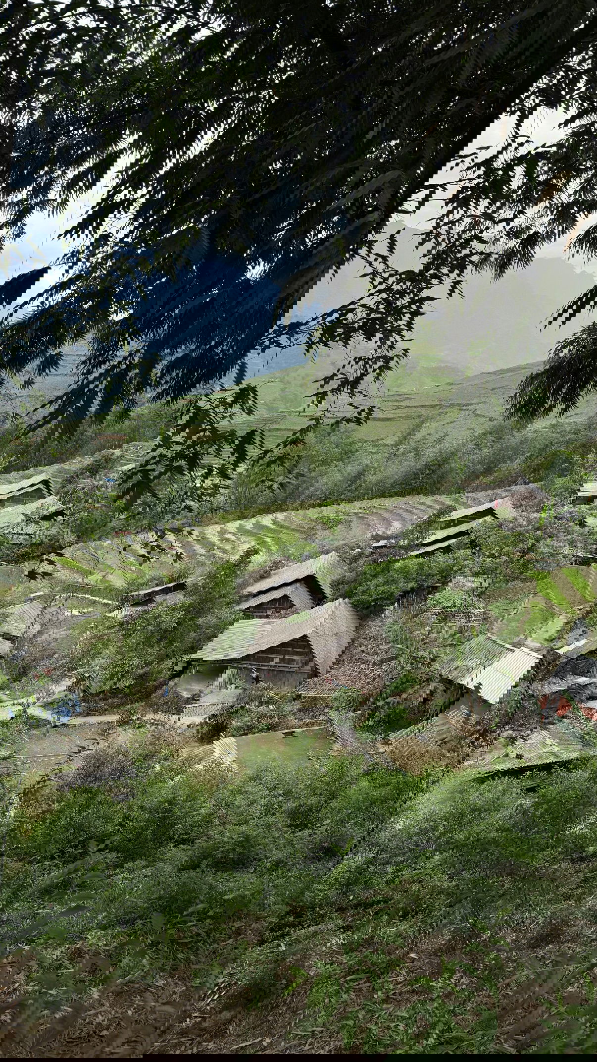 kesemgreenyer instagram image archive image