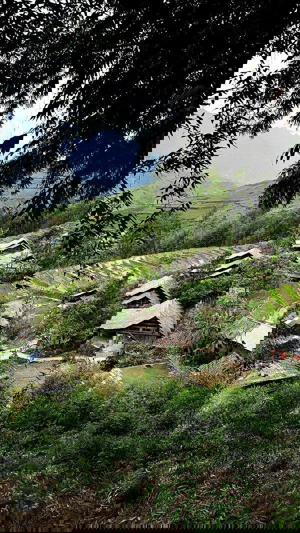 kesemgreenyer image ~ Altpins