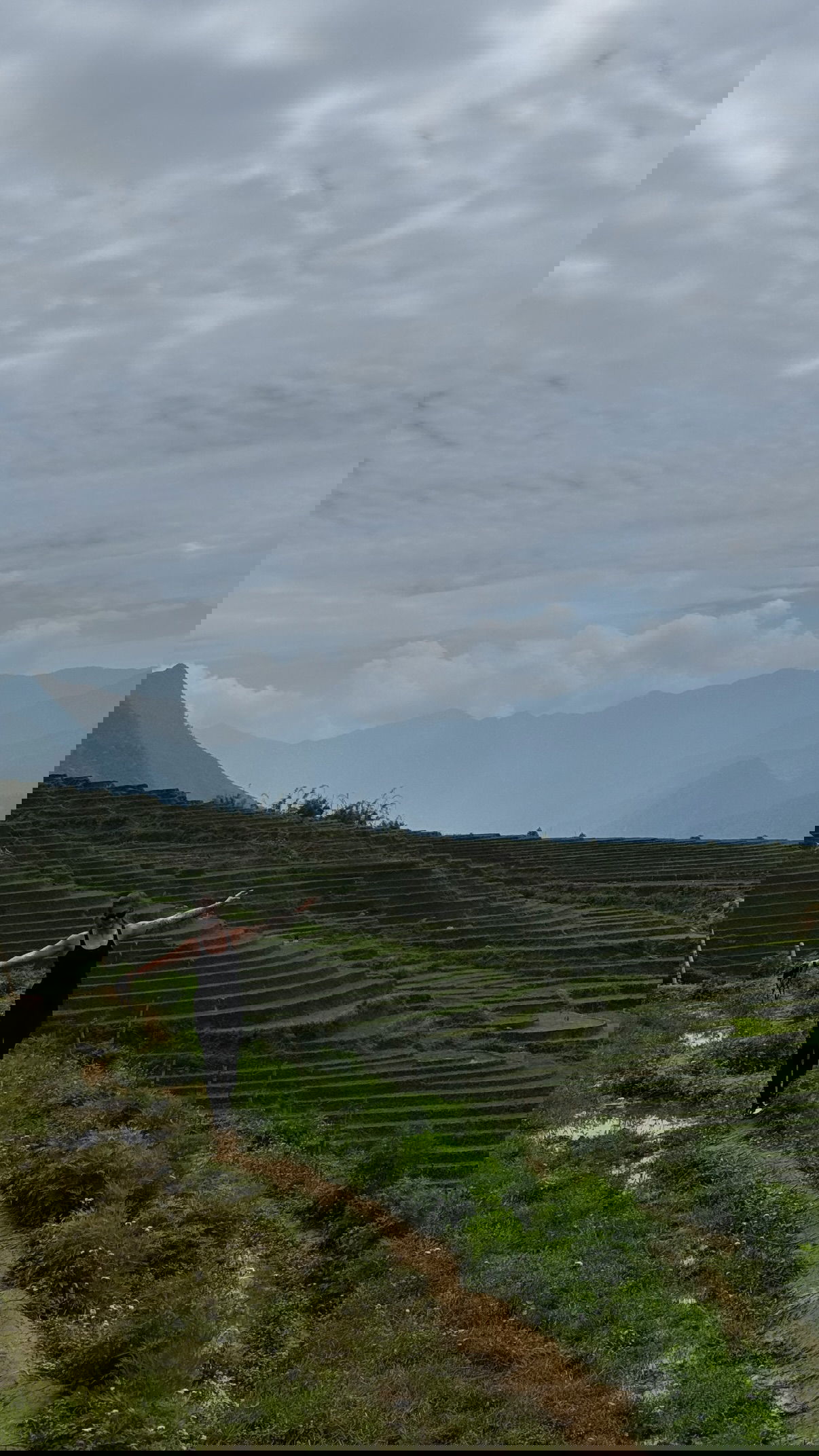 kesemgreenyer instagram image archive image