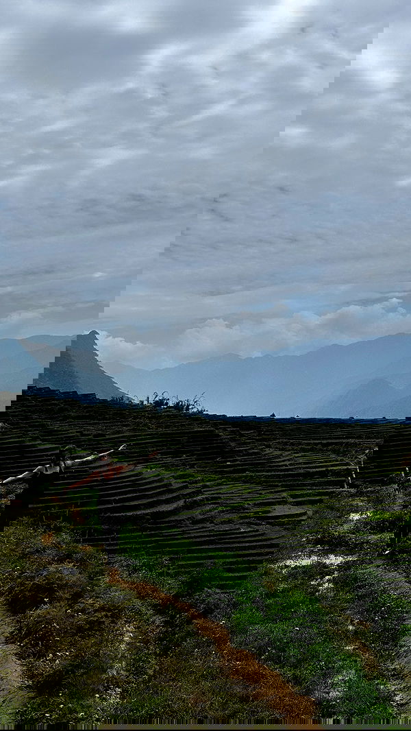 kesemgreenyer image ~ Altpins