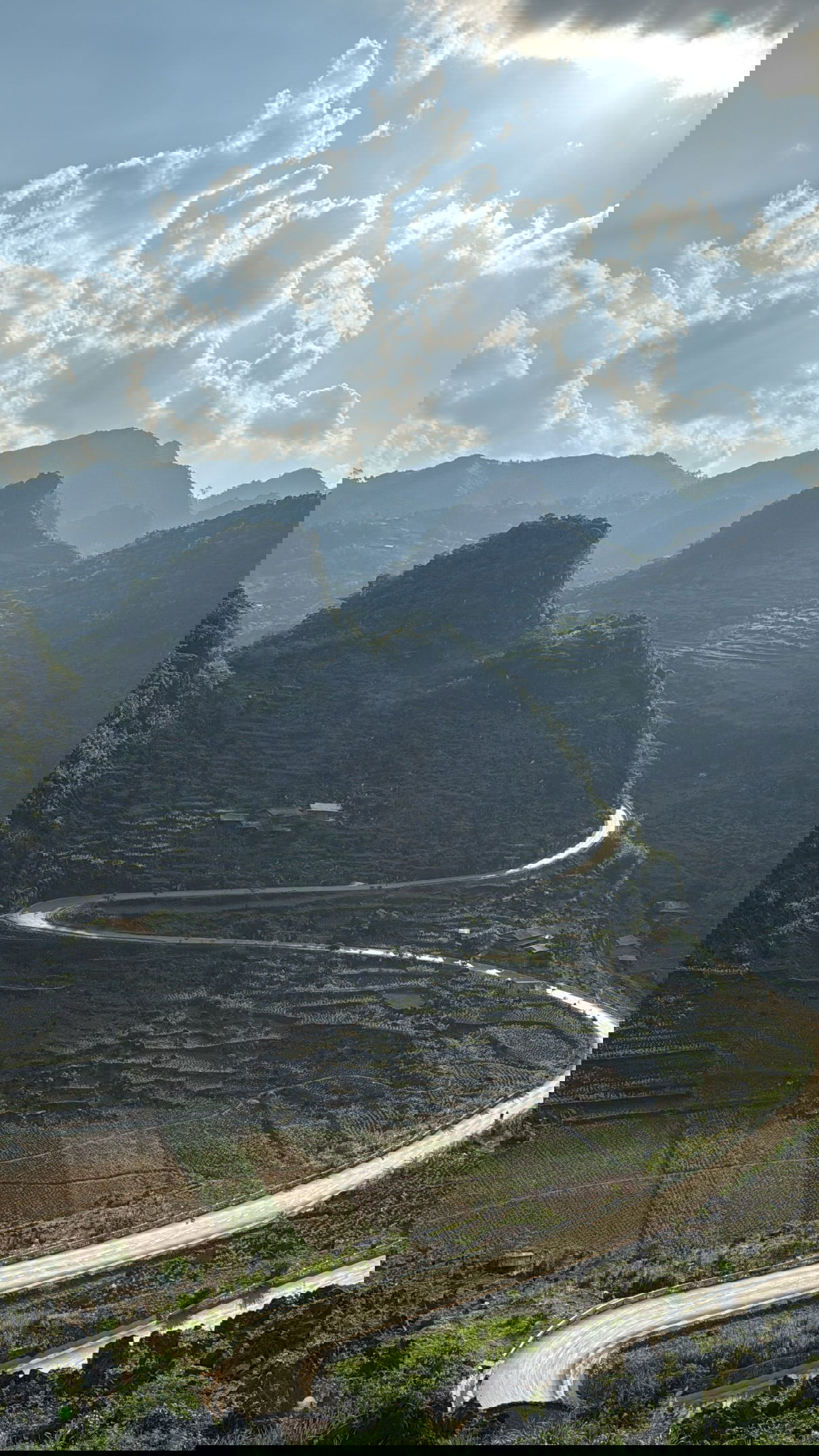 kesemgreenyer instagram image archive image