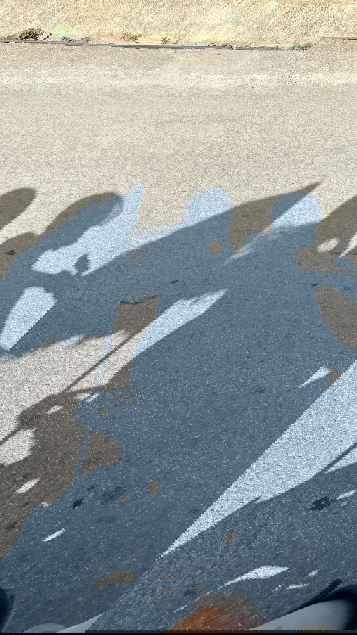 kesemgreenyer instagram image archive image