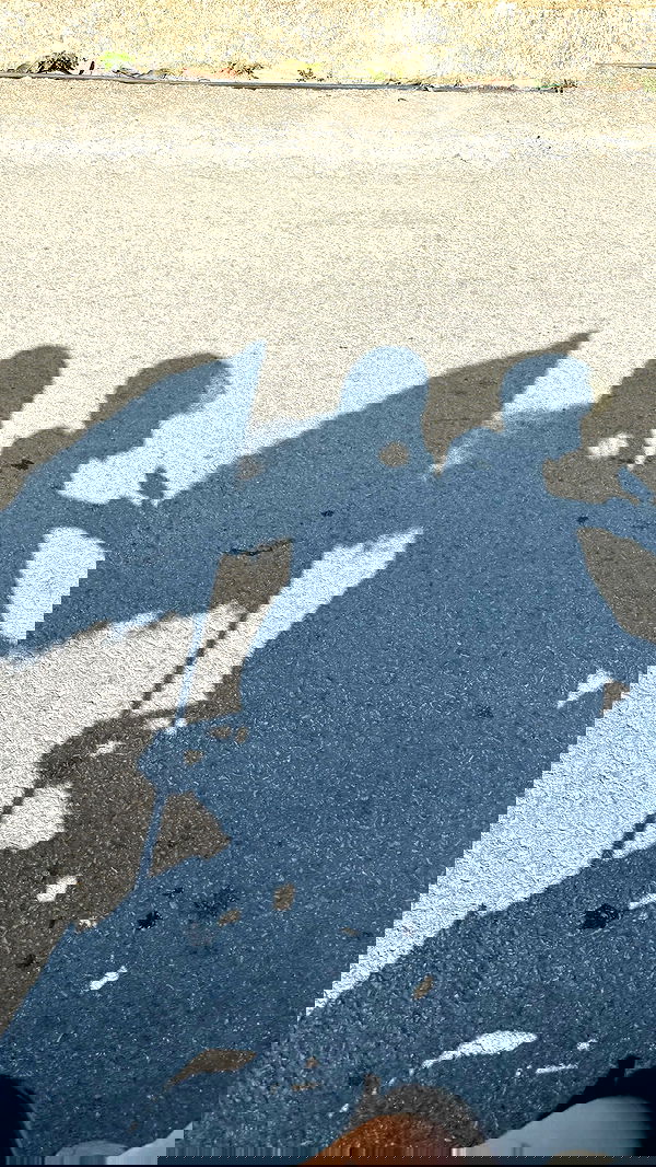 kesemgreenyer image ~ Altpins