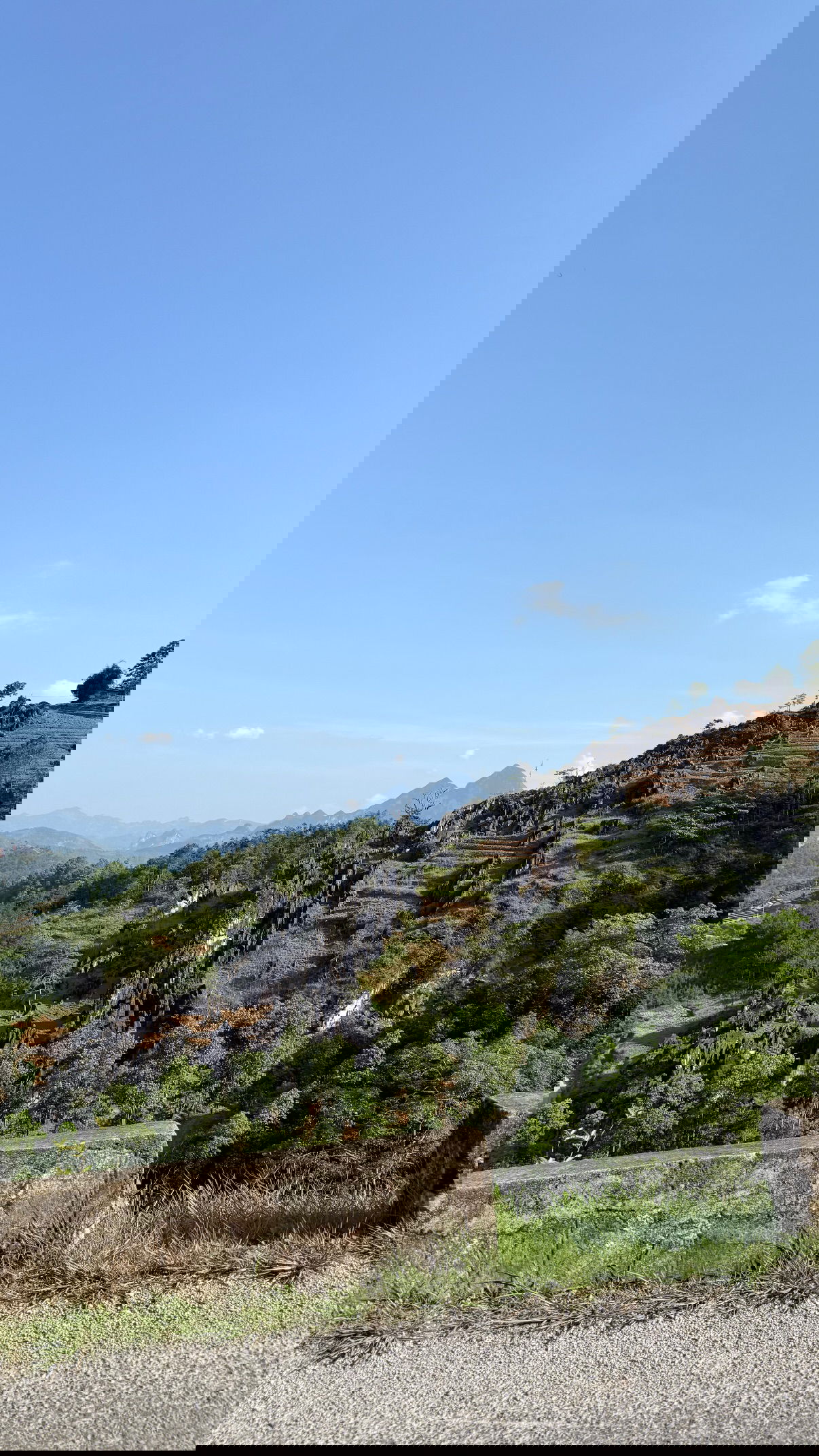 kesemgreenyer instagram image archive image