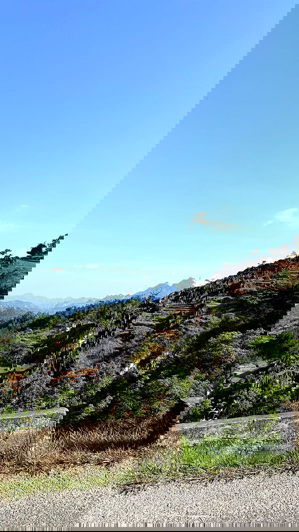 kesemgreenyer image ~ Altpins