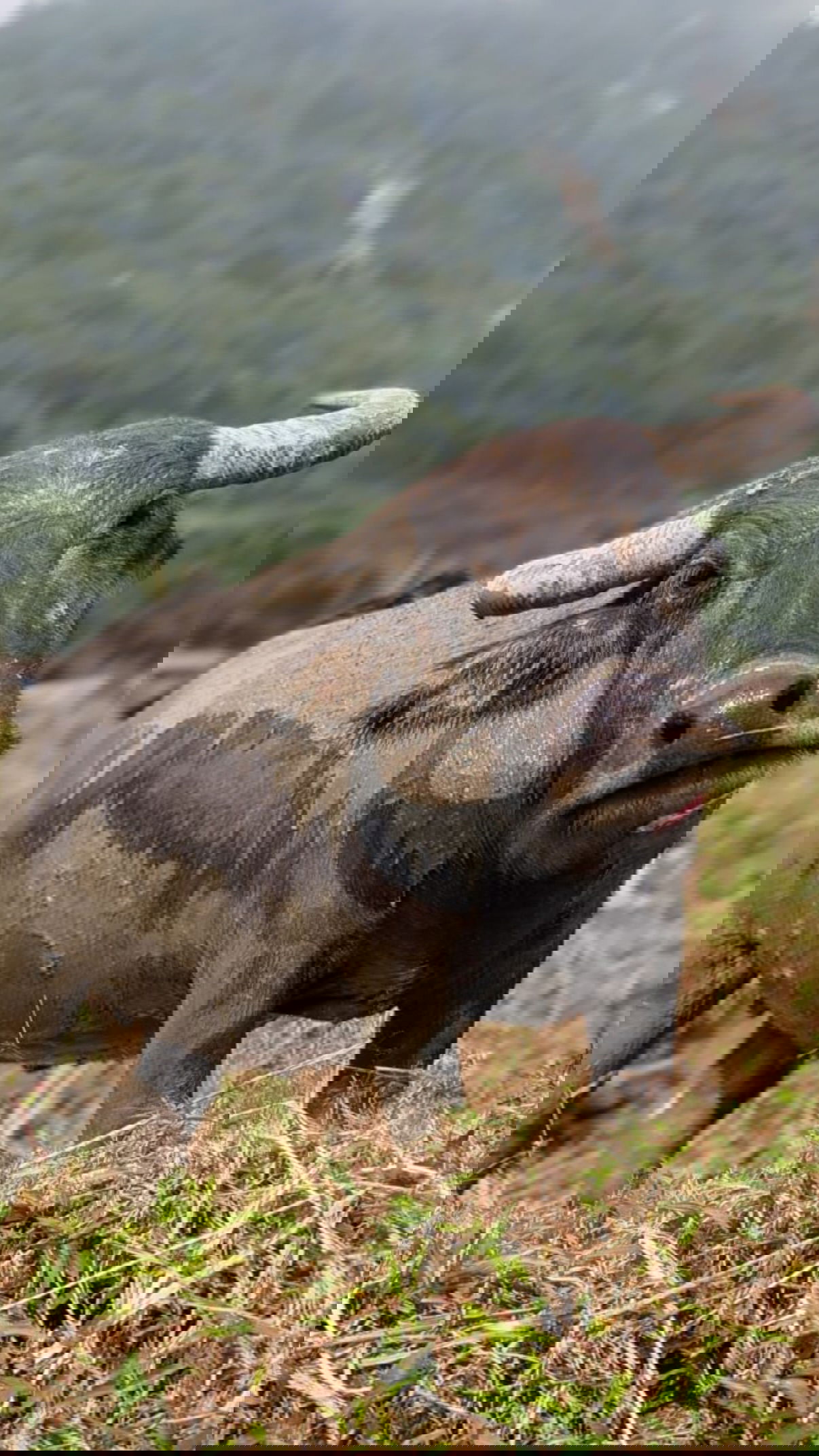 kesemgreenyer instagram image archive image