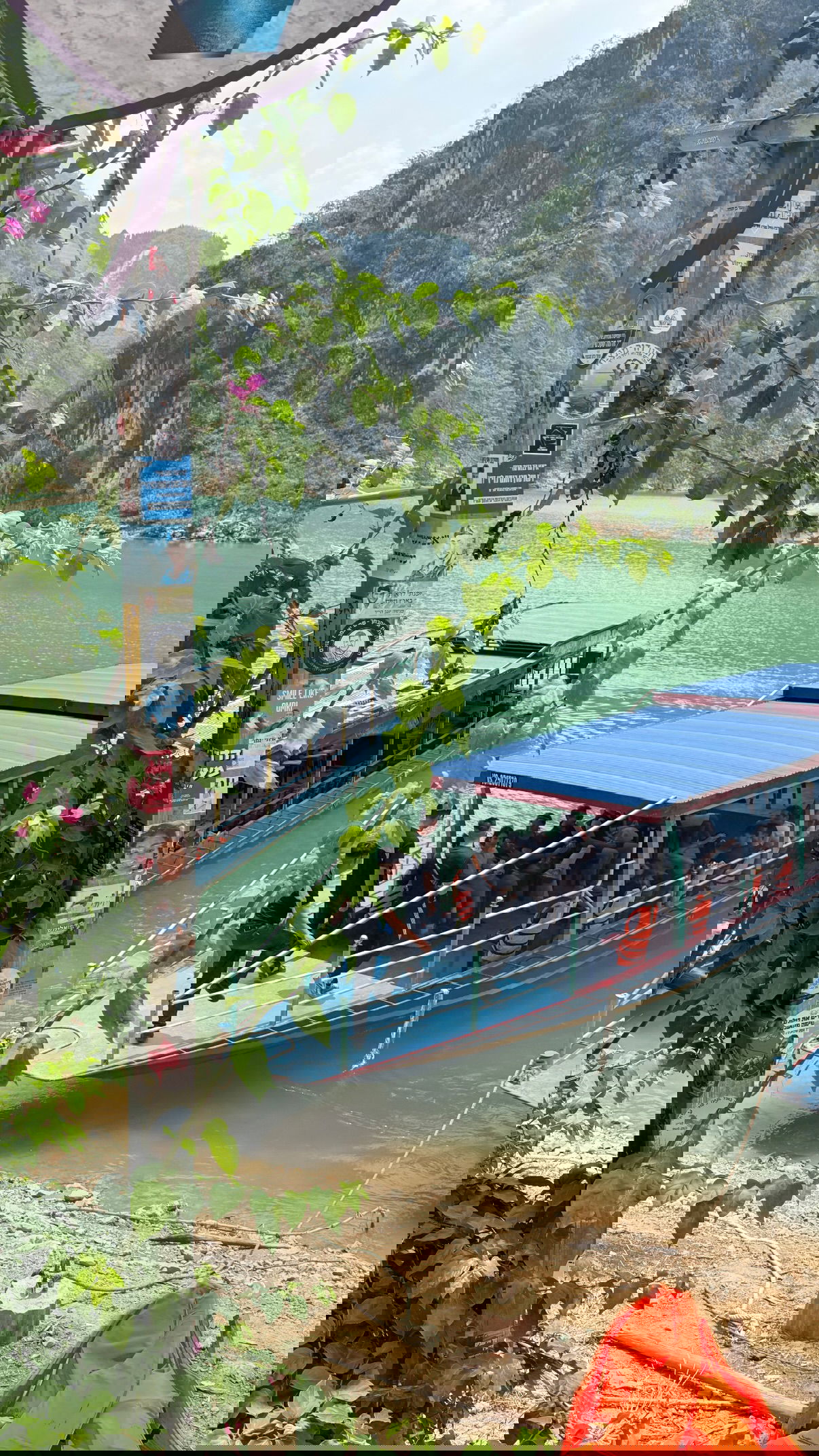 kesemgreenyer instagram image archive image