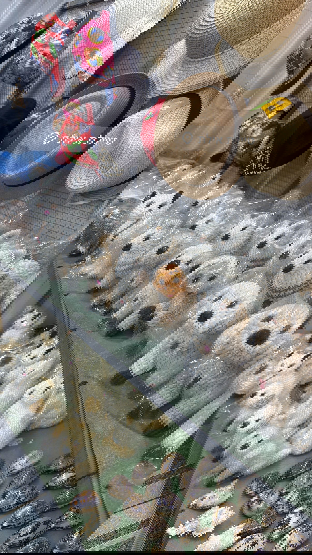 kesemgreenyer instagram image archive image