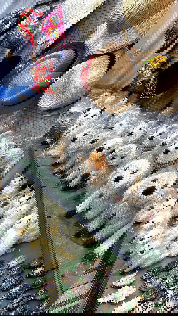 kesemgreenyer image ~ Altpins