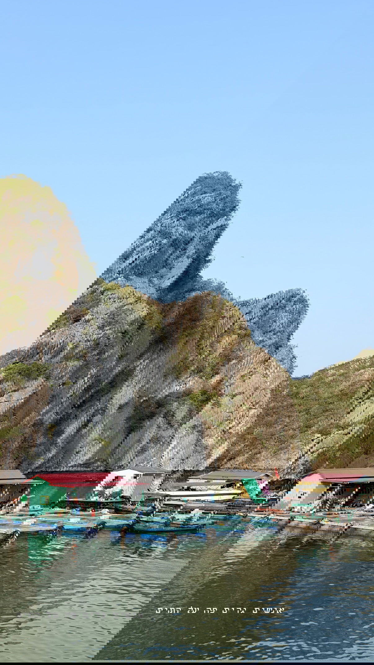 kesemgreenyer instagram image archive image