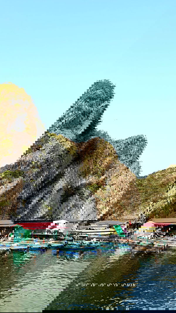 kesemgreenyer image ~ Altpins