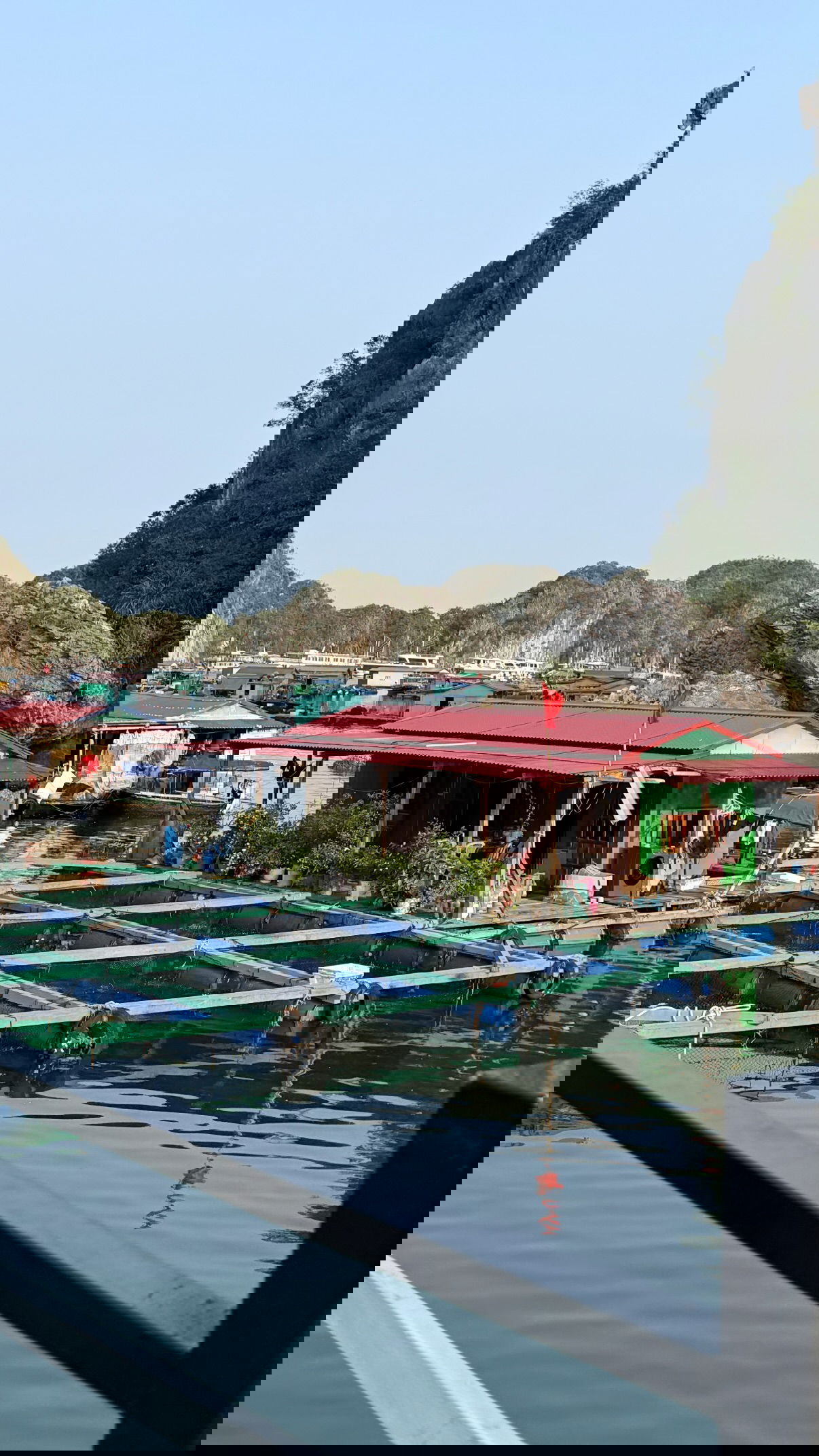 kesemgreenyer instagram image archive image