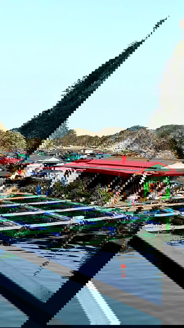 kesemgreenyer image ~ Altpins