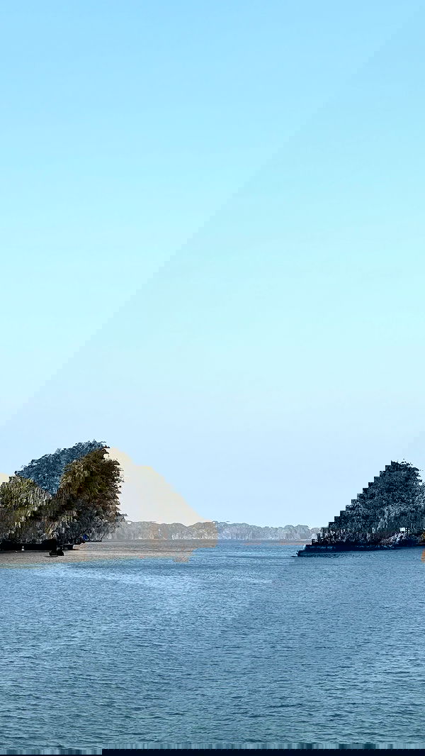 kesemgreenyer image ~ Altpins