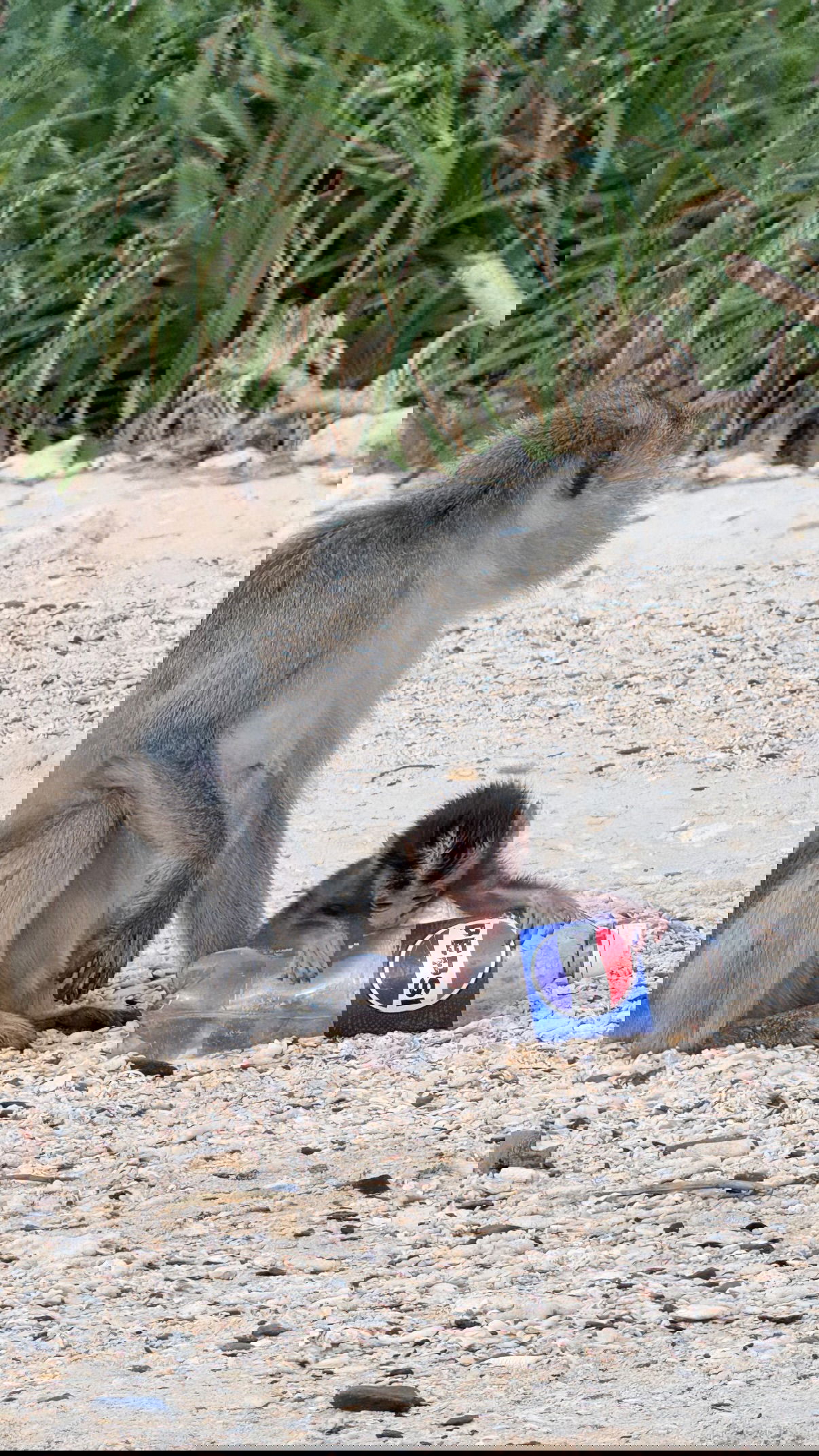 kesemgreenyer instagram image archive image