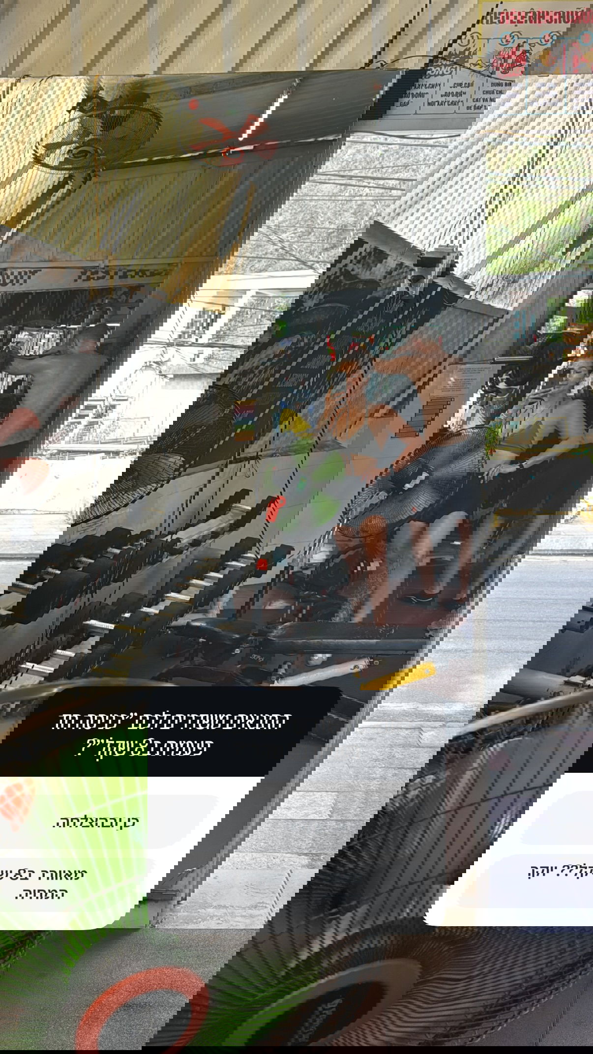 kesemgreenyer instagram image archive image