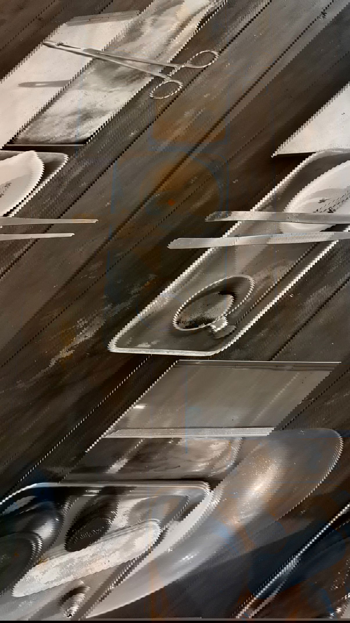 kesemgreenyer instagram image archive image