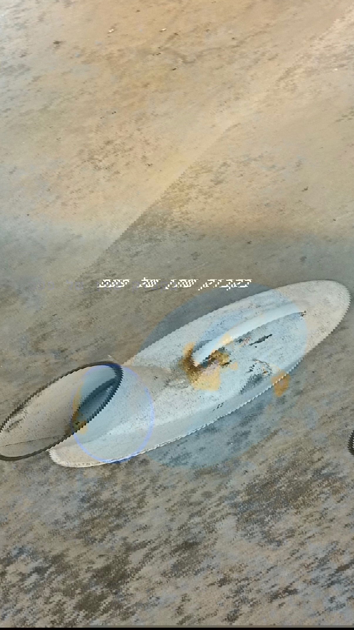 kesemgreenyer instagram image archive image