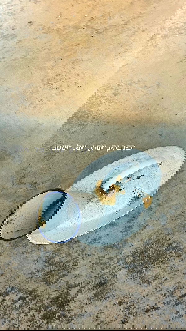 kesemgreenyer image ~ Altpins