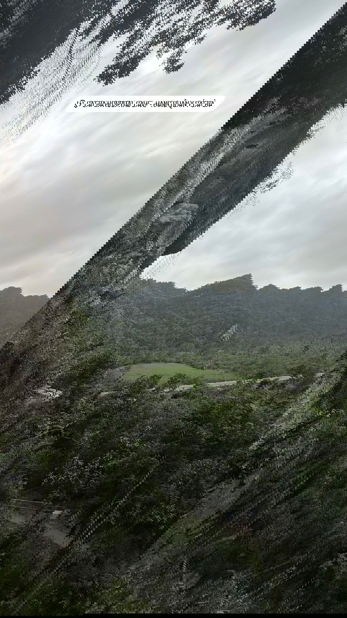 kesemgreenyer instagram image archive image