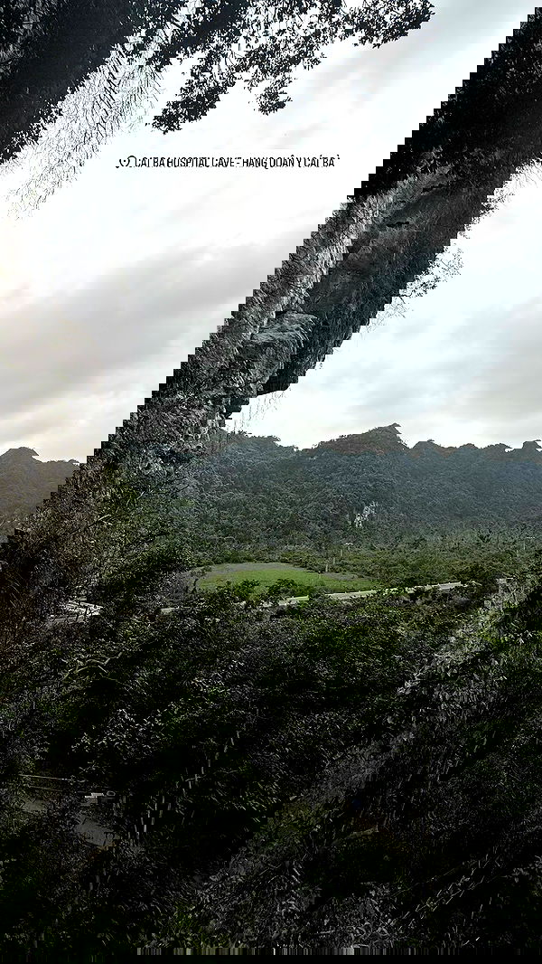 kesemgreenyer image ~ Altpins