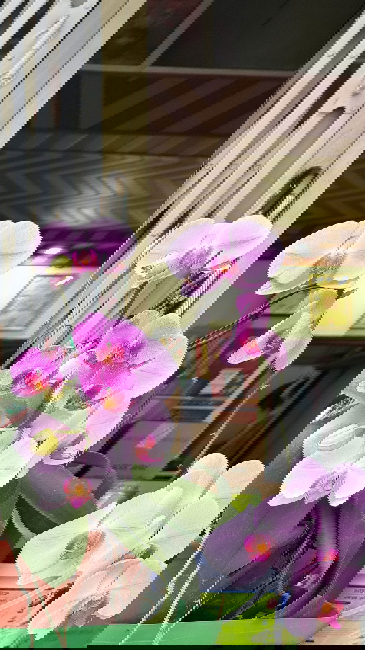 kesemgreenyer instagram image archive image