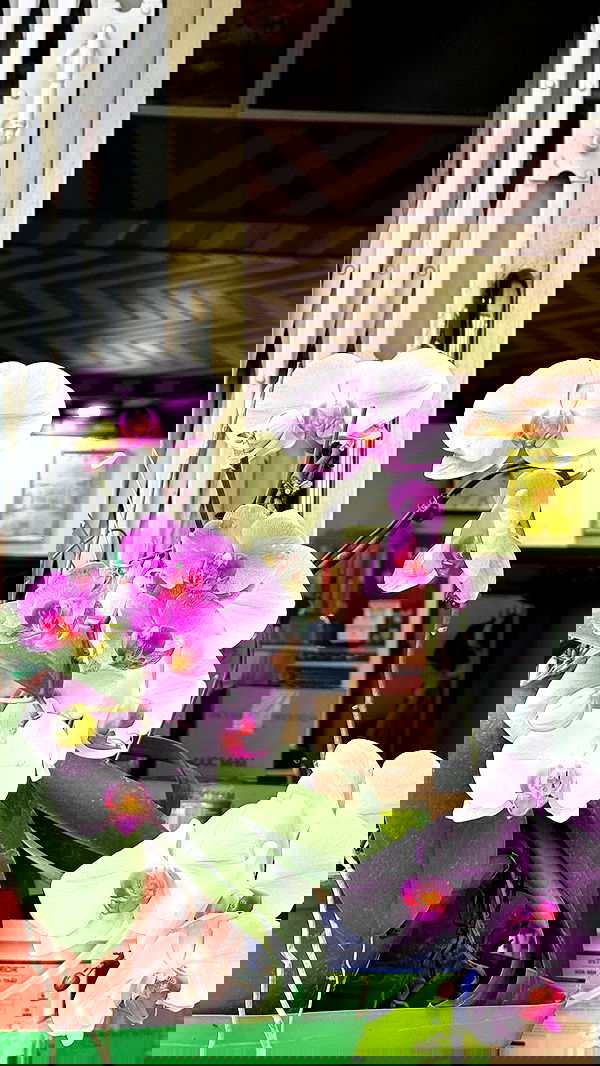 kesemgreenyer image ~ Altpins