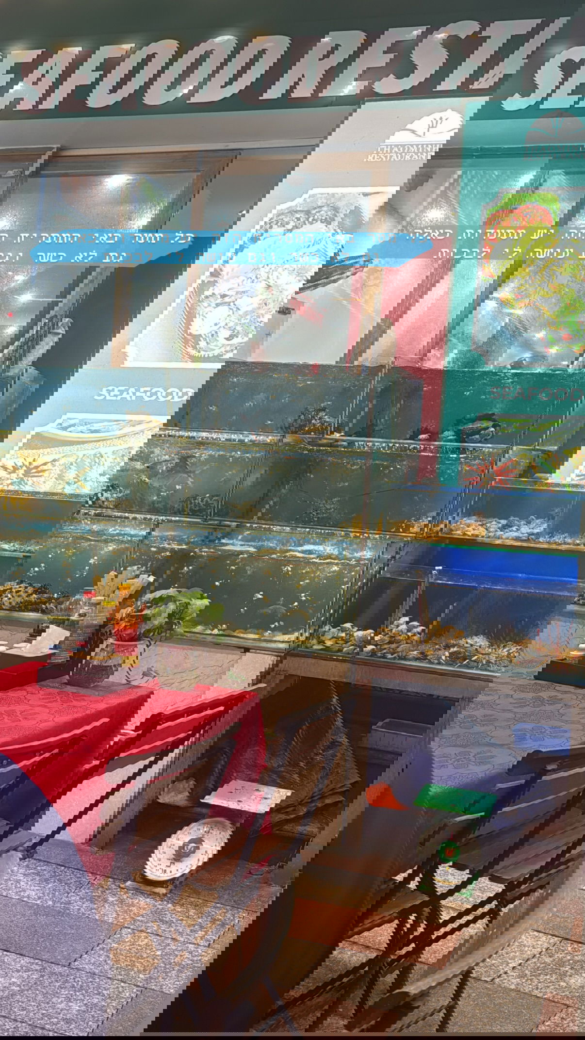 kesemgreenyer instagram image archive image