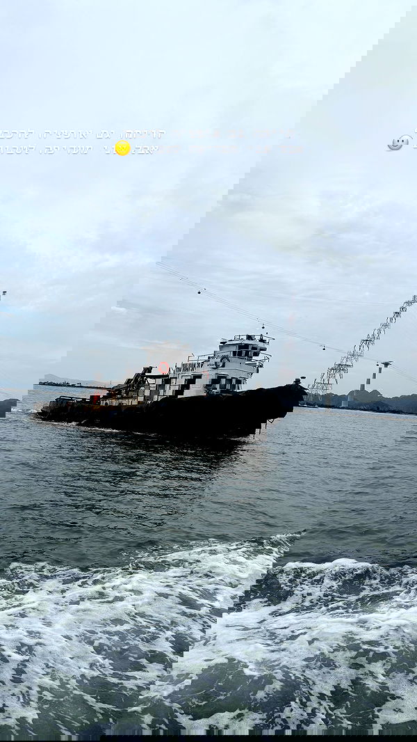 kesemgreenyer image ~ Altpins