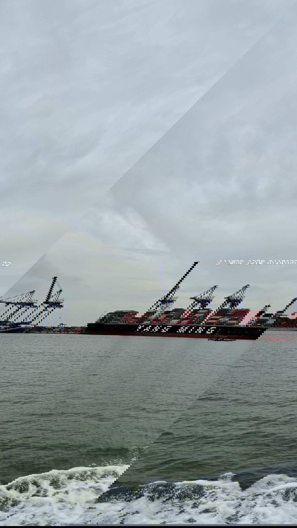 kesemgreenyer instagram image archive image