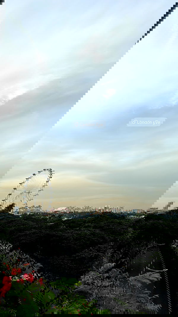 kesemgreenyer image ~ Altpins