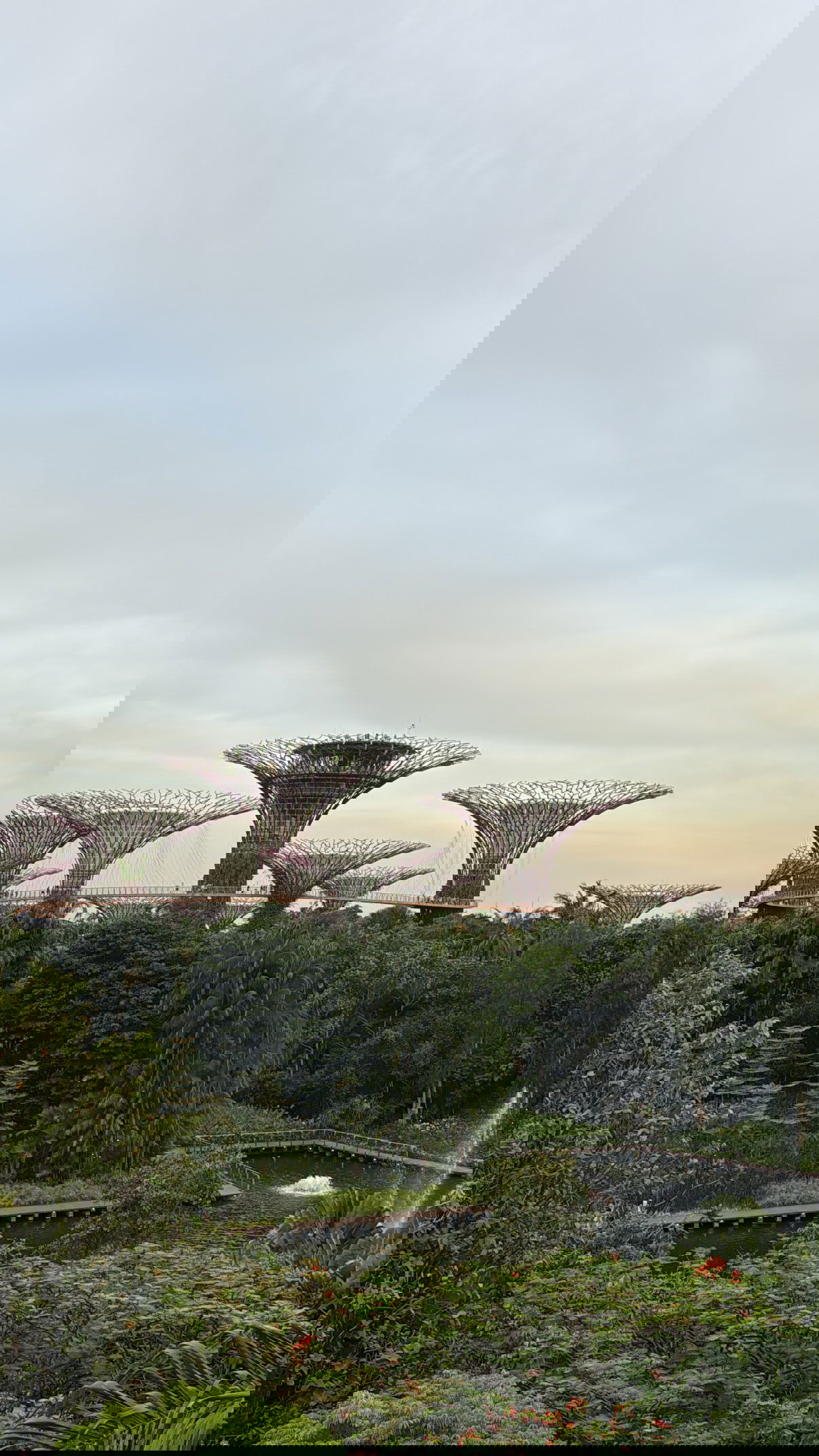 kesemgreenyer instagram image archive image