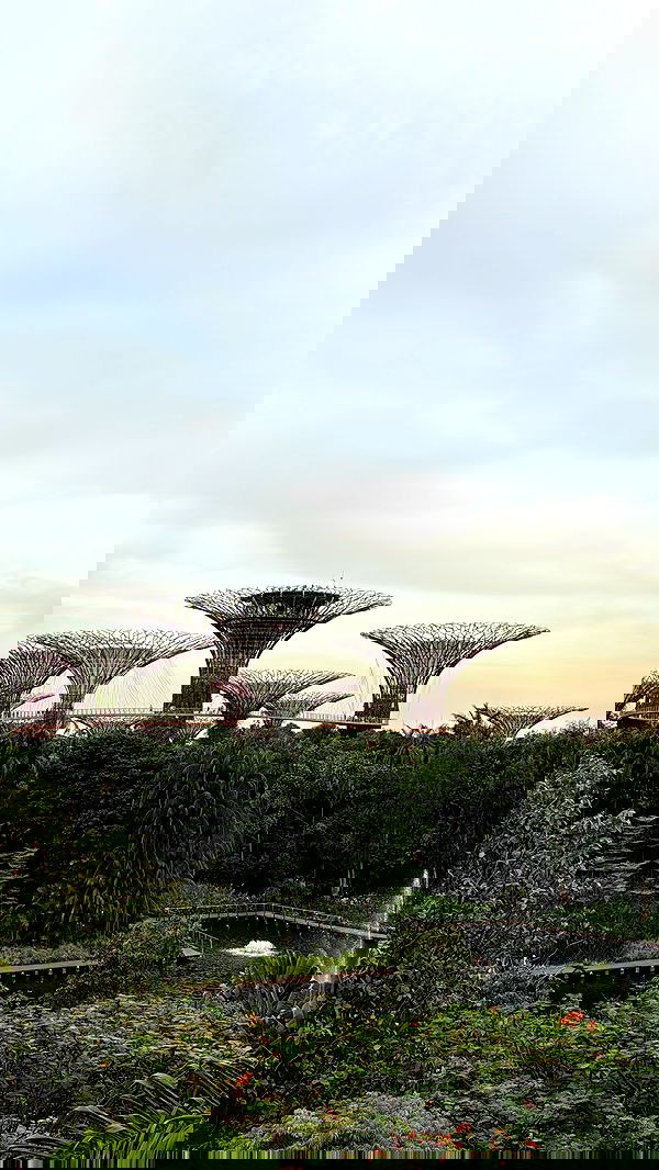 kesemgreenyer image ~ Altpins