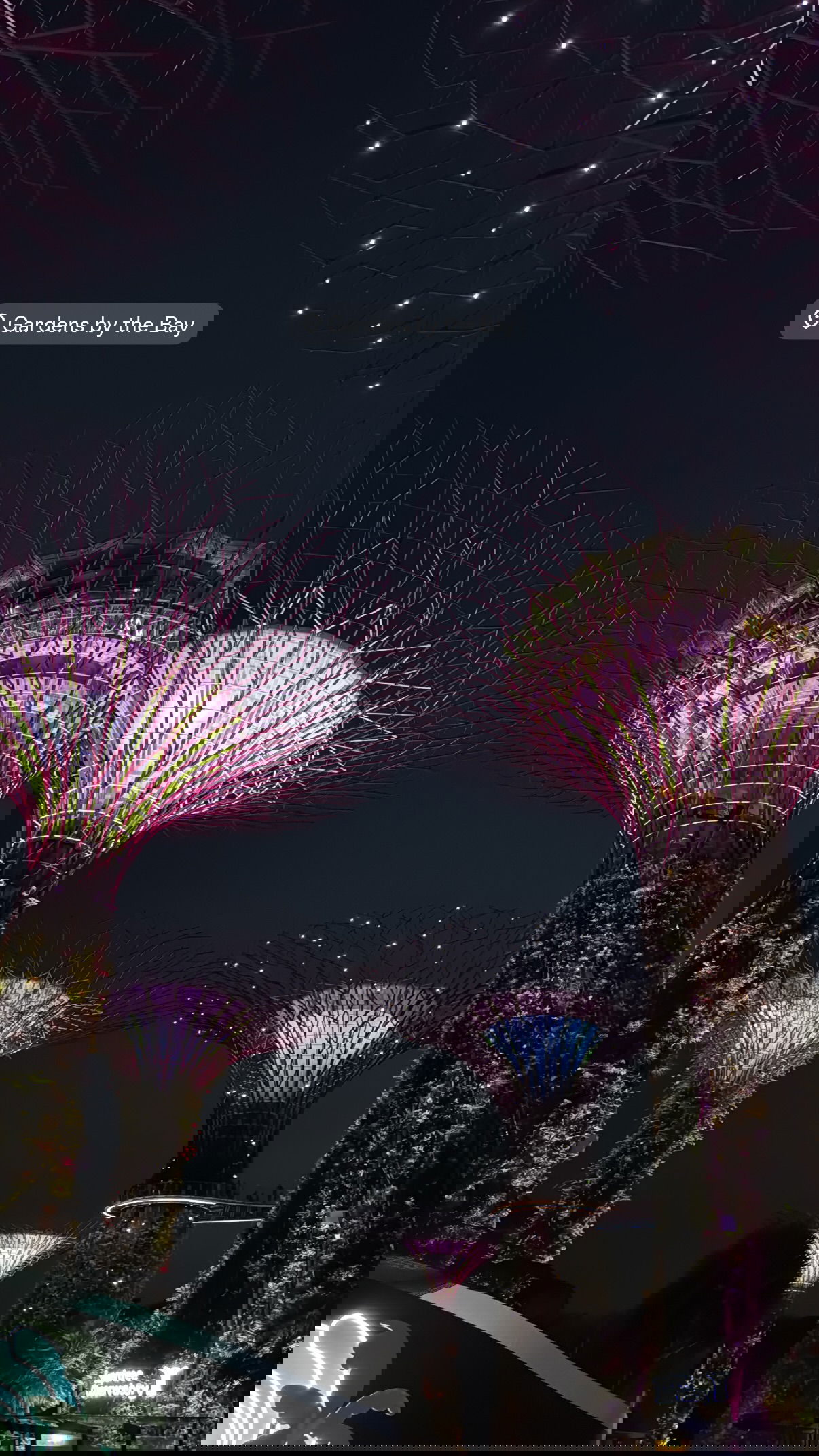 kesemgreenyer instagram image archive image