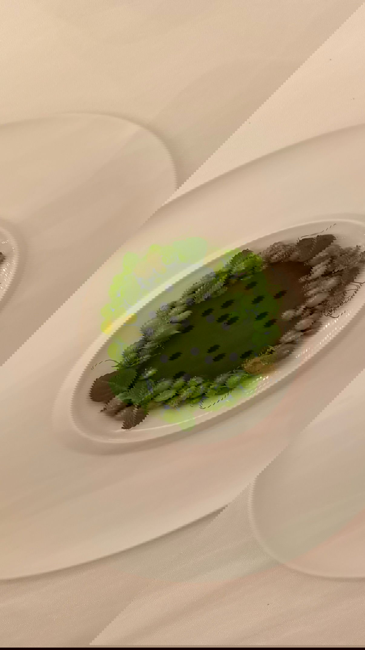 kesemgreenyer instagram image archive image