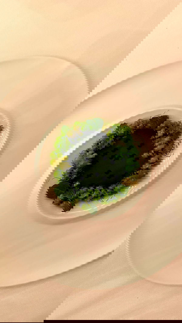 kesemgreenyer image ~ Altpins