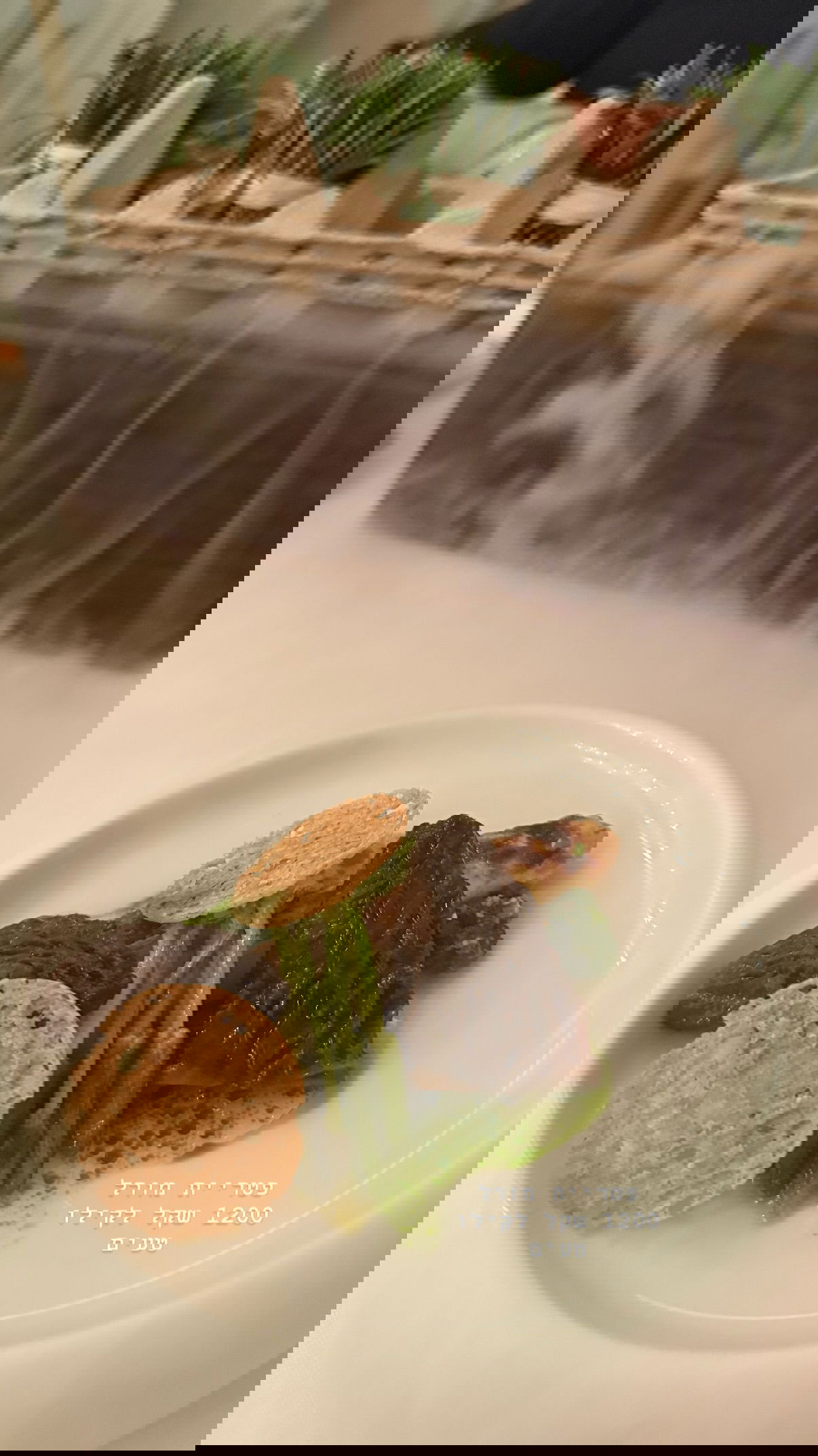 kesemgreenyer instagram image archive image