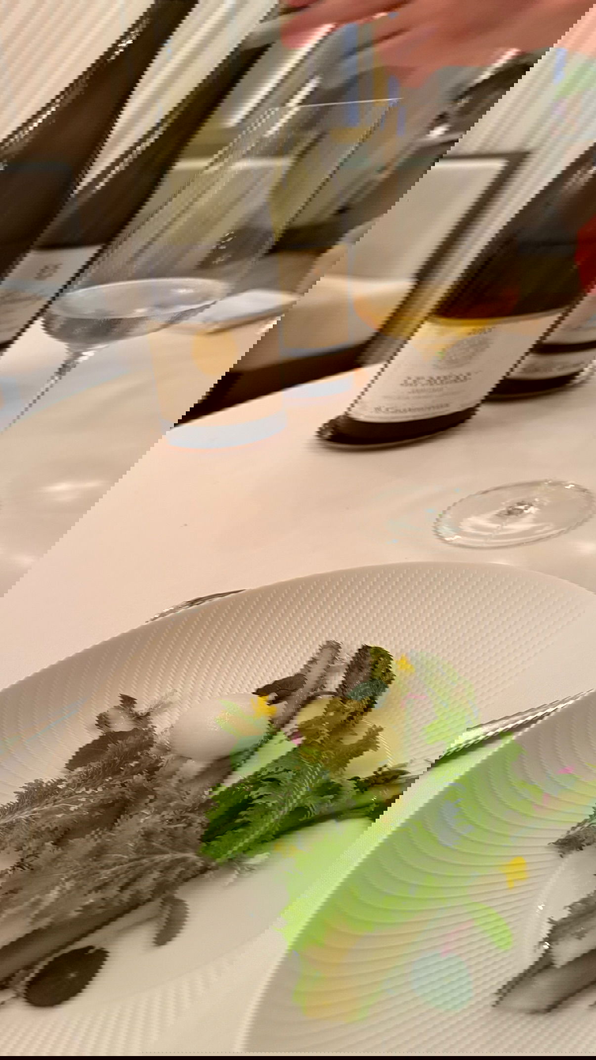 kesemgreenyer instagram image archive image