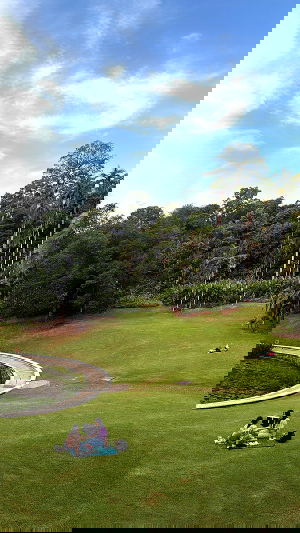 kesemgreenyer image ~ Altpins