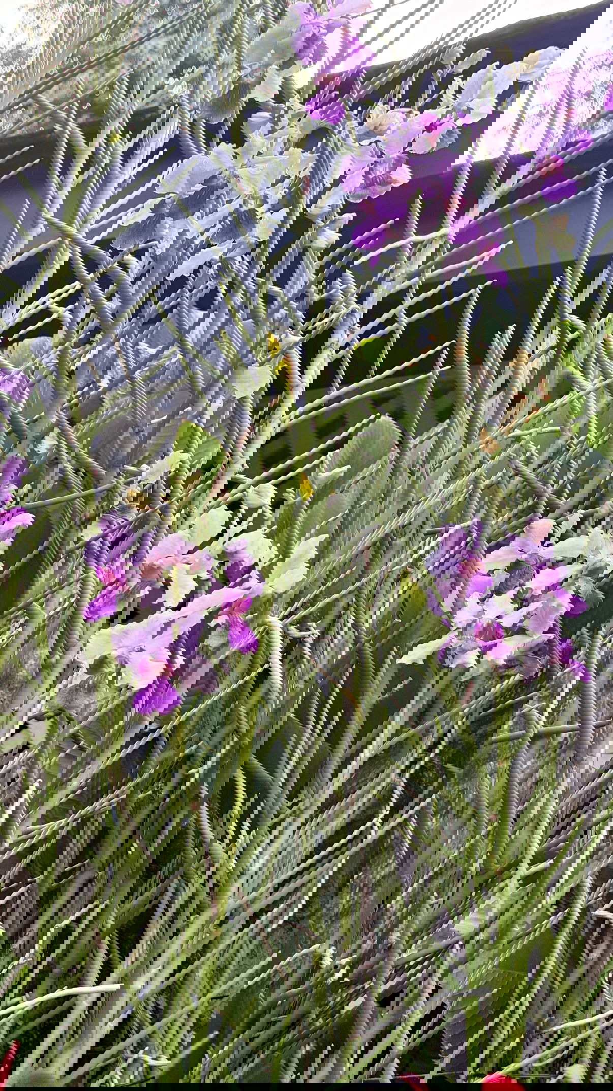 kesemgreenyer instagram image archive image