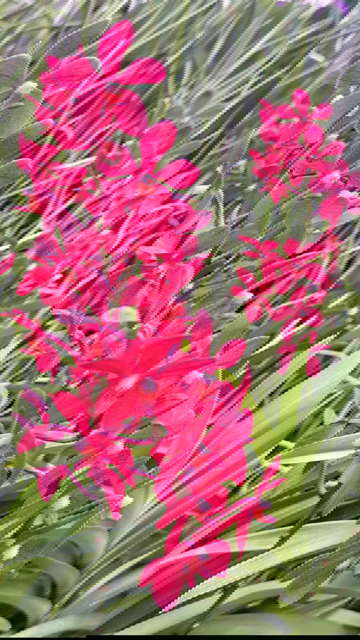 kesemgreenyer instagram image archive image