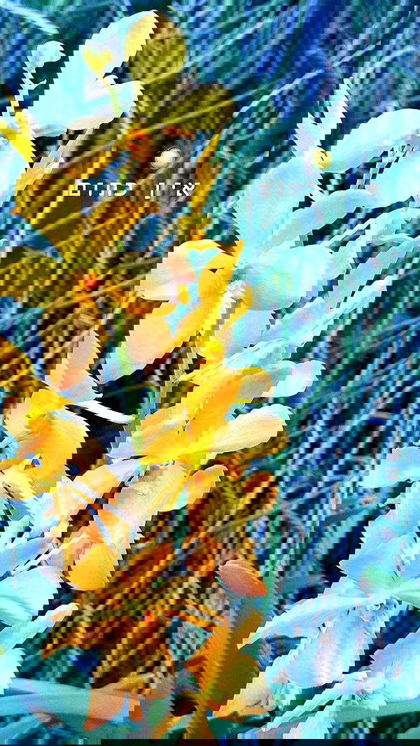 kesemgreenyer image ~ Altpins