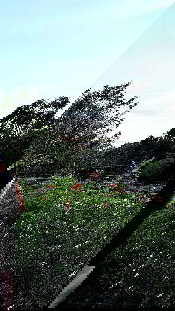 kesemgreenyer image ~ Altpins