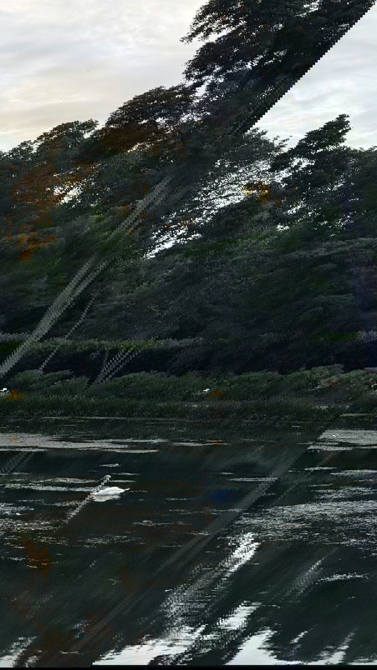 kesemgreenyer instagram image archive image