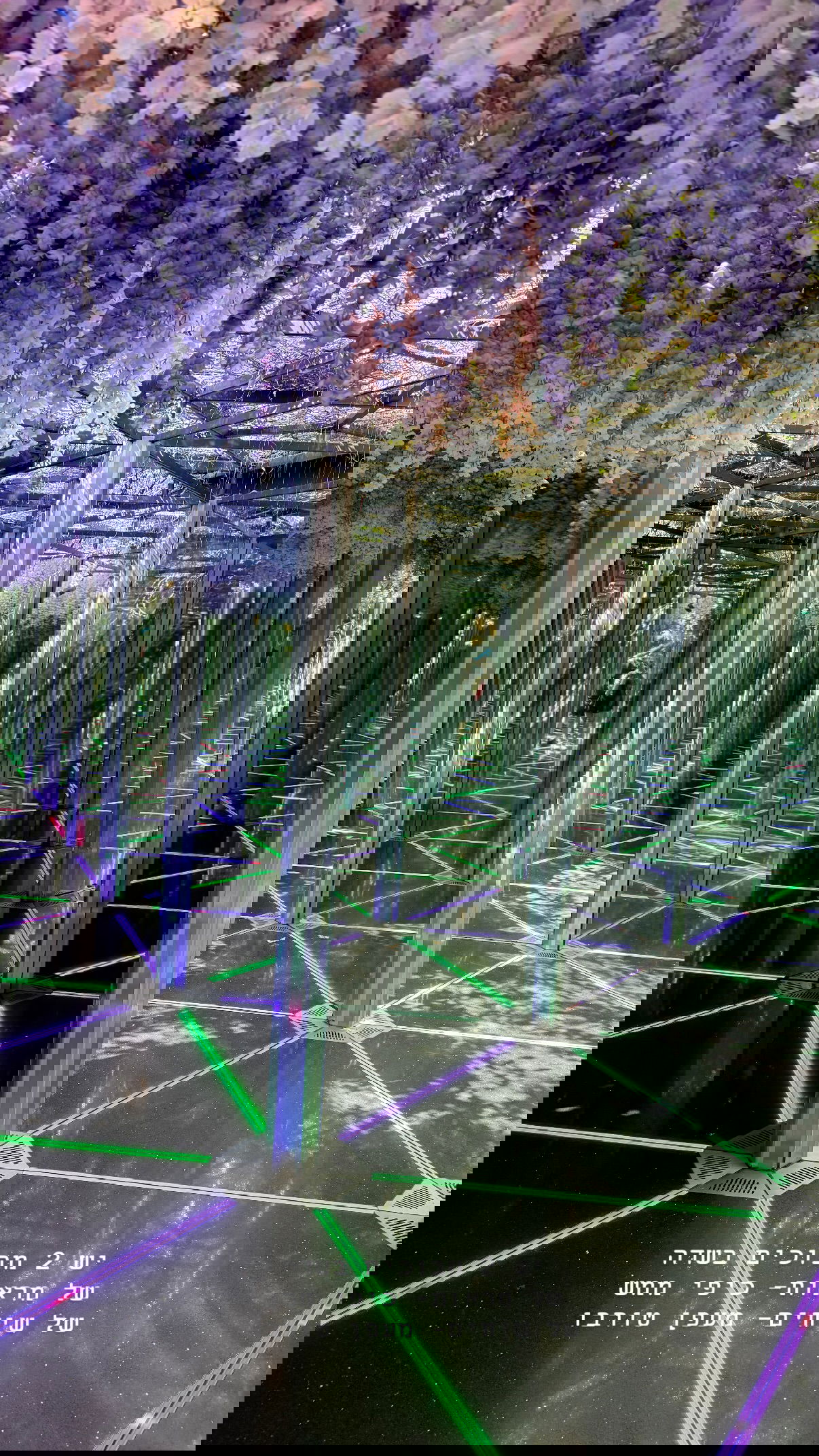 kesemgreenyer instagram image archive image