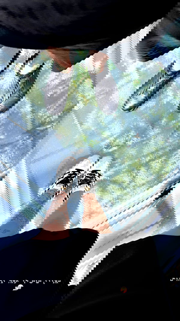 kesemgreenyer image ~ Altpins